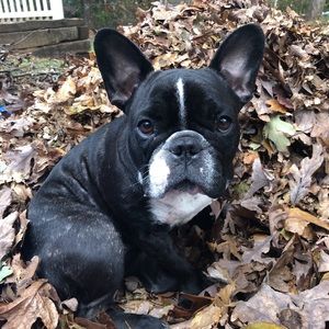 Meet your Posher, Karina